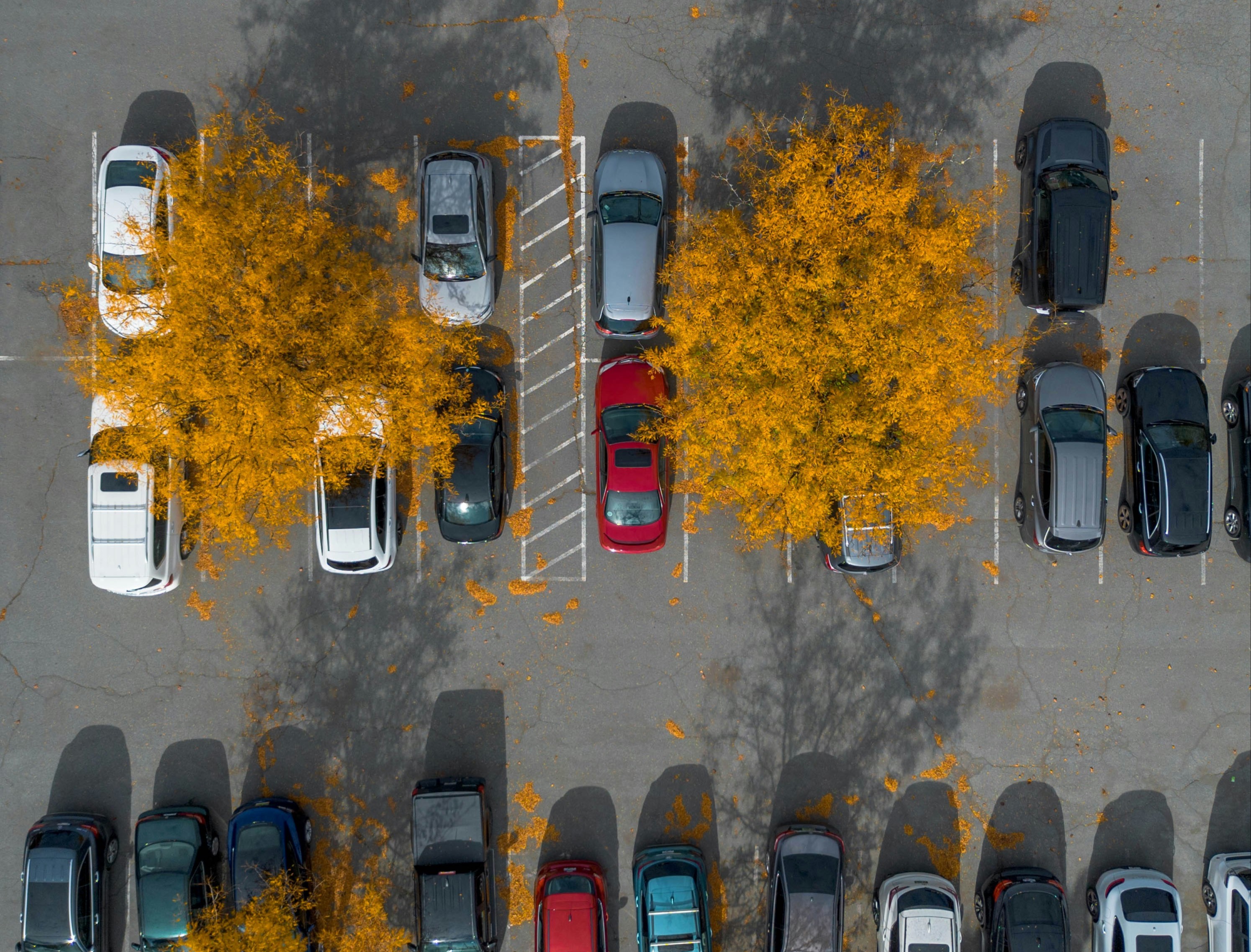 laryssa-ares-ky1Pd0Sa-3Q-unsplash